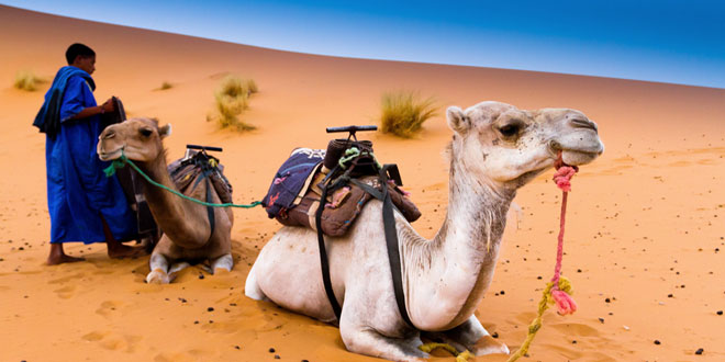 Marrakech Excursions