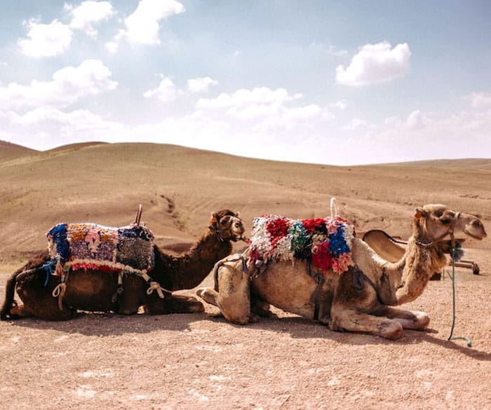 Balade à Agafay Desert