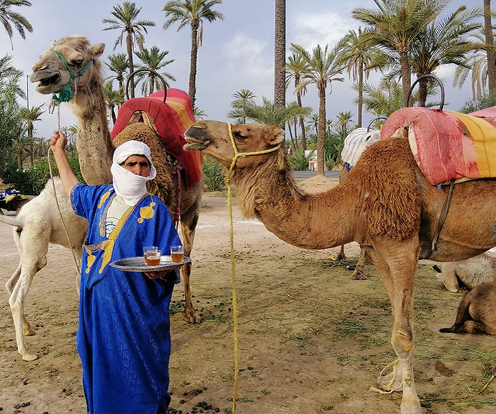 Excursion Palmeraie Marrakech